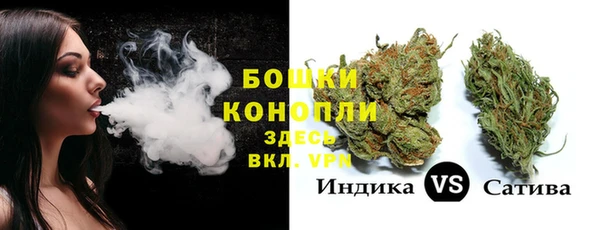 прущие грибы Аркадак