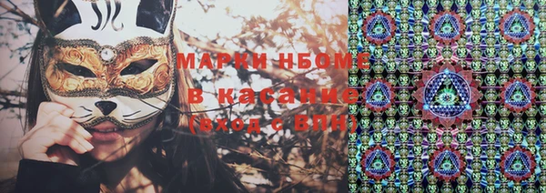 прущие грибы Аркадак