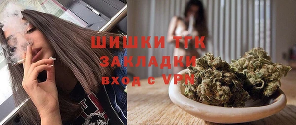 прущие грибы Аркадак
