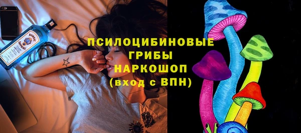 прущие грибы Аркадак
