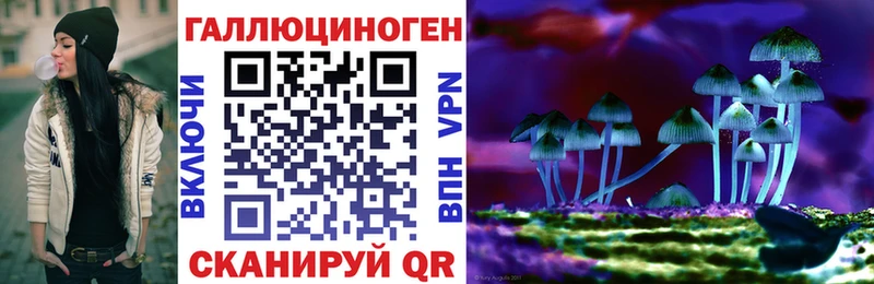 Псилоцибиновые грибы GOLDEN TEACHER  Купить где  Белово 