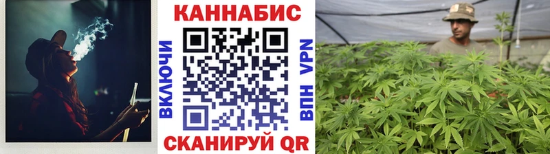 Купить закладки  Белово  Бошки Шишки Amnesia 
